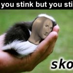 skonk | When you stink but you still cute | image tagged in meme man skonk,skunk,skonk,meme man,stinky,cute | made w/ Imgflip meme maker