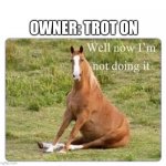 Disobedient horse | OWNER: TROT ON | image tagged in horse well now i m not doing it,horse,rebel,disobedience | made w/ Imgflip meme maker