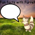Fun facts with Furret template