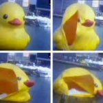 Giant Exploding Duck template