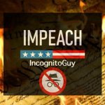 Impeach IncognitoGuy burning constitution meme