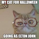 Funny Cat with Glasses | MY CAT FOR HALLOWEEN; GOING AS ELTON JOHN | image tagged in grumpy cat,cat,happy halloween,halloween,elton john,costumes | made w/ Imgflip meme maker