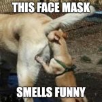 facemask | THIS FACE MASK; SMELLS FUNNY | image tagged in brown noser,facemask | made w/ Imgflip meme maker