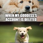 Sad Puppy, Happy Puppy Goddess | WHEN MY GODDESS'S
ACCOUNT IS DELETED; WHEN I FIND HER
AGAIN ON HER BACKUP | image tagged in sad puppy happy puppy 2,memes | made w/ Imgflip meme maker