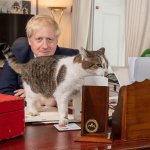 Forget elf on a shelf      here's at twat with a cat