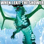 routine | WHEN I EXIT THE SHOWER | image tagged in routine | made w/ Imgflip meme maker
