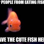 save da fish from Gerquin | STOP PEOPLE FROM EATING FISH EYES; SAVE THE CUTE FISH HERE | image tagged in fishfry,fish,goldfish,fish eyes | made w/ Imgflip meme maker
