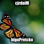 Solve Me | cjrdoiM; bigoPretckn | image tagged in butterfly,butterfly puzzle,puzzle,solve puzzle,solve | made w/ Imgflip meme maker