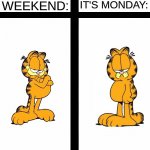 When its weekend Vs When Its Monday | WHEN IT'S MONDAY:; WHEN IT'S WEEKEND: | image tagged in garfield meme,garfield,meme,memes | made w/ Imgflip meme maker