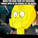 Ugh | WHEN YOU HEAR YOUR CAT KNOCKING THINGS OVER IN THE MIDDLE OF THE NIGHT: | image tagged in yellow diamond- steven universe-taxes,steven universe,cat | made w/ Imgflip meme maker