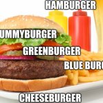 Burger | HAMBURGER; YUMMYBURGER; GREENBURGER; BLUE BURGER; CHEESEBURGER | image tagged in hamburger,cheeseburger,yummy | made w/ Imgflip meme maker