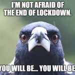 Springtime end of lockdown | I'M NOT AFRAID OF THE END OF LOCKDOWN. YOU WILL BE… YOU WILL BE! | image tagged in magpie stare | made w/ Imgflip meme maker