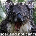 I hope this isn't a repost | feminists when they realize; it's cancer and not cancmadam | image tagged in memes,angry koala | made w/ Imgflip meme maker