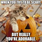 Day 9 Halloweens? | WHEN YOU TRY TO BE SCARY, BUT REALLY YOU'RE ADORABLE. | image tagged in halloween cat | made w/ Imgflip meme maker