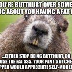 Jeez, stop being butthurt over fat jokes. | IF YOU’RE BUTTHURT OVER SOMEONE JOKING ABOUT YOU HAVING A FAT ASS,... ...EITHER STOP BEING BUTTHURT, OR LOSE THE FAT ASS. YOUR PANT STITCHES AND ZIPPER WOULD APPRECIATE SELF-MODERATION. | image tagged in mr beaver,memes,fat,jokes,butthurt,offend | made w/ Imgflip meme maker