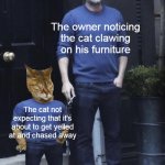 Destructive Feline Habit | The owner noticing the cat clawing on his furniture; The cat not expecting that it's about to get yelled at and chased away | image tagged in ben affleck and his cat smoking,meme | made w/ Imgflip meme maker