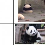 drake meme but panda