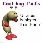 Oops! Typo. Or was it? | Ur anus is bigger than Earth | image tagged in cool bug facts api | made w/ Imgflip meme maker