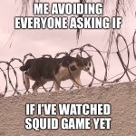 Cat Barbed Wire | ME AVOIDING EVERYONE ASKING IF; IF I’VE WATCHED SQUID GAME YET | image tagged in cat barbed wire,squid game | made w/ Imgflip meme maker
