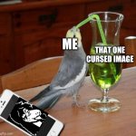 Bird drinking green juice | THAT ONE CURSED IMAGE; ME | image tagged in bird drinking green juice | made w/ Imgflip meme maker