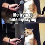 this is true | Me tryin to hide my crying; “Are you ok?” | image tagged in cat interview crying,crying,relatable,so true memes,true story,sad | made w/ Imgflip meme maker