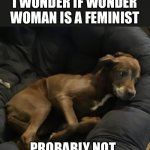 Wonder Woman | I WONDER IF WONDER WOMAN IS A FEMINIST; PROBABLY NOT | image tagged in wonder dog | made w/ Imgflip meme maker