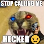 Floppa is M A D | STOP CALLING ME; HECKER😠 | image tagged in angry floppa,floppa | made w/ Imgflip meme maker
