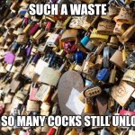 Wasted locks | SUCH A WASTE; WITH SO MANY COCKS STILL UNLOCKED | image tagged in china / corona virus lock down | made w/ Imgflip meme maker