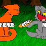 Me and memes.... | MEMES; ME; MY FRIENDS | image tagged in firestar doesn't like waffles,waffles | made w/ Imgflip meme maker