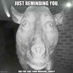 Pig staring at doorbell | JUST REMINDING YOU, DID YOU TAKE YOUR MEDICINE TODAY? | image tagged in pig staring at doorbell,oh wow are you actually reading these tags,cursed,medicine | made w/ Imgflip meme maker