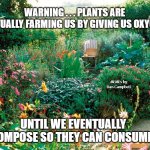 garden | WARNING . . . PLANTS ARE ACTUALLY FARMING US BY GIVING US OXYGEN; MEMEs by Dan Campbell; UNTIL WE EVENTUALLY DECOMPOSE SO THEY CAN CONSUME US | image tagged in garden | made w/ Imgflip meme maker
