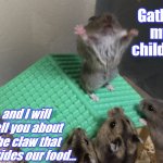 Hamster King of the Mountain | Gather my children; and I will tell you about the claw that provides our food... | image tagged in hamster king of the mountain | made w/ Imgflip meme maker