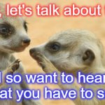 gossip meerkats | Hey, let's talk about this! I so want to hear what you have to say! | image tagged in gossip meerkats | made w/ Imgflip meme maker