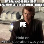 Why. Just why? | MY BRAIN: GOOD MEME IDEA
ALSO MY BRAIN: FORGETS THE MOMENT I ENTER IMGFLIP; ME | image tagged in this whole operation was your idea | made w/ Imgflip meme maker