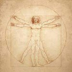 Leonardo Da Vinci Vitruvian Man