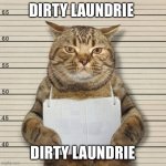 GUILTY CAT MUG SHOT BLANK | DIRTY LAUNDRIE; DIRTY LAUNDRIE | image tagged in guilty cat mug shot blank | made w/ Imgflip meme maker