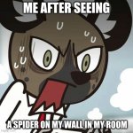 *remembers the day i saw a daddy long legs in my room* | ME AFTER SEEING; A SPIDER ON MY WALL IN MY ROOM | image tagged in haida is freaking out | made w/ Imgflip meme maker