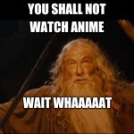 You shall not | WATCH ANIME; YOU SHALL NOT; WAIT WHAAAAAT | image tagged in you shall not | made w/ Imgflip meme maker