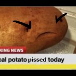 Local Potato Pissed Today