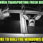 Important tip for drivers | WHEN TRANSPORTING FRESH DEER; BE SURE TO ROLL THE WINDOWS DOWN | image tagged in deer,driving,car,important,safety,tip | made w/ Imgflip meme maker