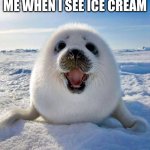 Anybody else? | ME WHEN I SEE ICE CREAM | image tagged in cute seal,relatable | made w/ Imgflip meme maker