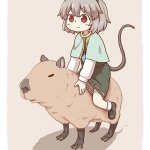 nazrin capybara