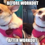 Before and After Workout | BEFORE WORKOUT; AFTER WORKOUT | image tagged in perro enojado y feliz / dog angry | made w/ Imgflip meme maker