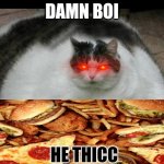 Fat Cat | DAMN BOI; HE THICC | image tagged in fat cat | made w/ Imgflip meme maker