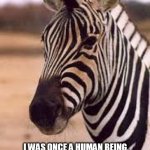 Condescending Zebra | I WAS ONCE A HUMAN BEING,
 NOW, 
 I AM THE ZEBRA I KNEW I ALWAYS WAS | image tagged in condescending zebra | made w/ Imgflip meme maker