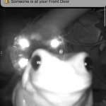frog front door
