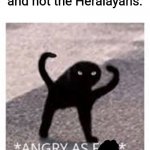 Angery as Fuk | Feminists when they realize it's the Himalayas and not the Heralayans: | image tagged in angery,as,frik | made w/ Imgflip meme maker