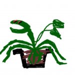 Pot plant