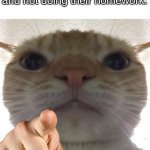 istg just do your homework please i will thank you | Guess who is procrastinating and not doing their homework: | image tagged in cat point at you | made w/ Imgflip meme maker