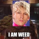 I am Groot | I AM WEED | image tagged in i am groot | made w/ Imgflip meme maker